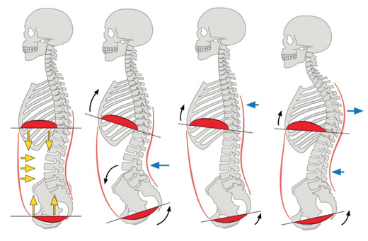 Breathing Is The Catalyst To Better Bracing